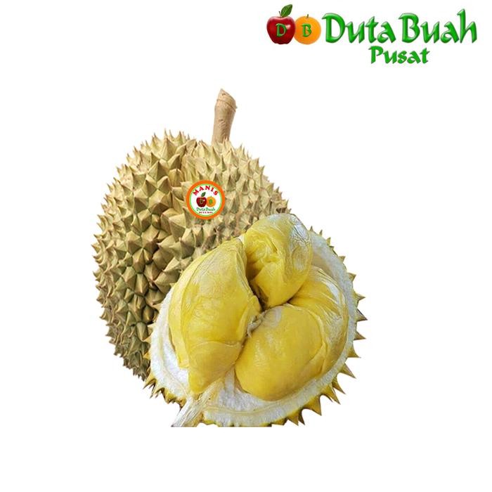

DISKON DUTA BUAH DURIAN MONTHONG PALU (-+3KG - 3.499KG) READY STOCK