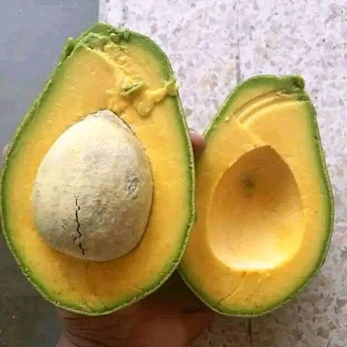 

ASLI Alpukat kuning mentega organik 1kg ( isi 2 buah ) READY STOCK