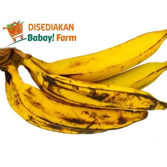 

(Allthebest) Pisang Tanduk / Pisang Candi