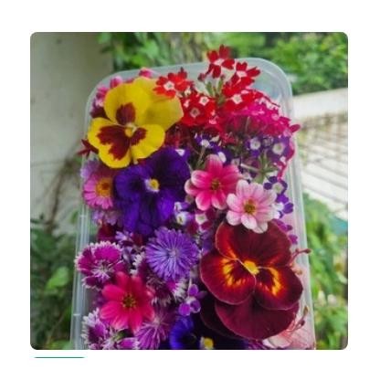

MIXED EDIBLE FLOWER (25 PCS) - CAMPURAN HOTEL & RESTO