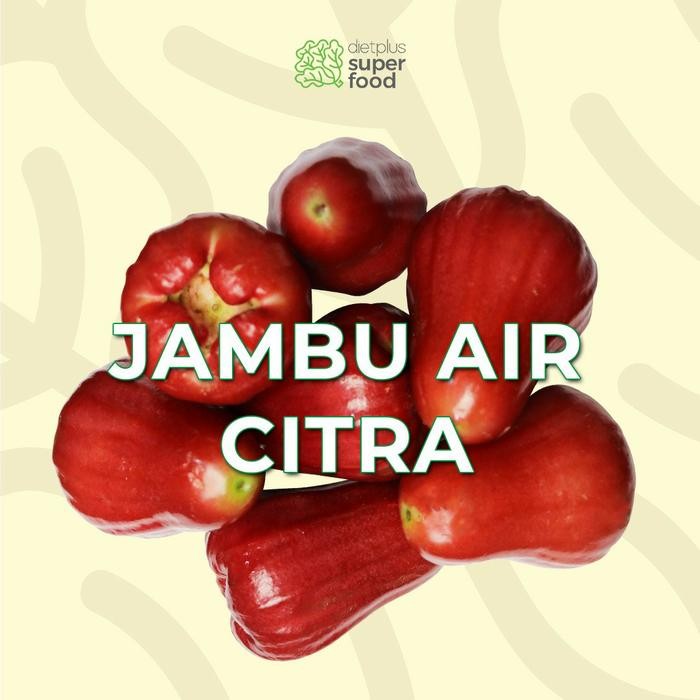 

DISKON Jambu Air Citra Super READY STOCK