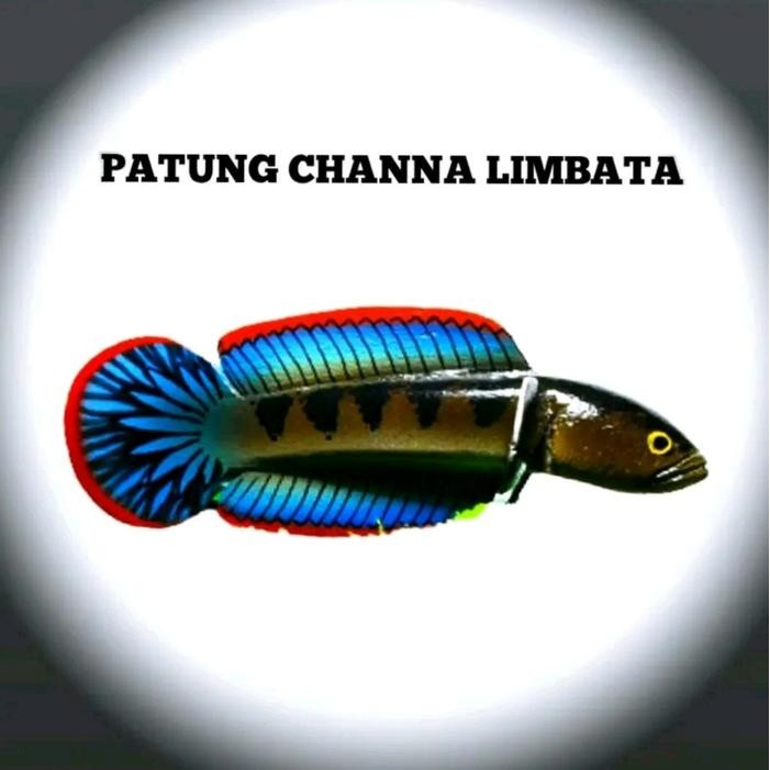 patung chana limbata Patung Patung Patung *