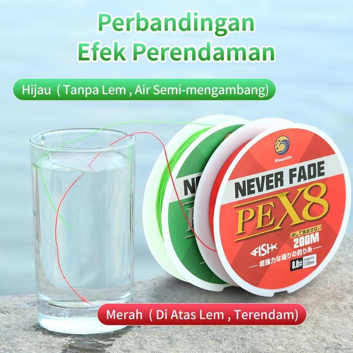 Bingolife x8 PE 200m Jalinan Fishing Jepang Never Fade Senar Pancing