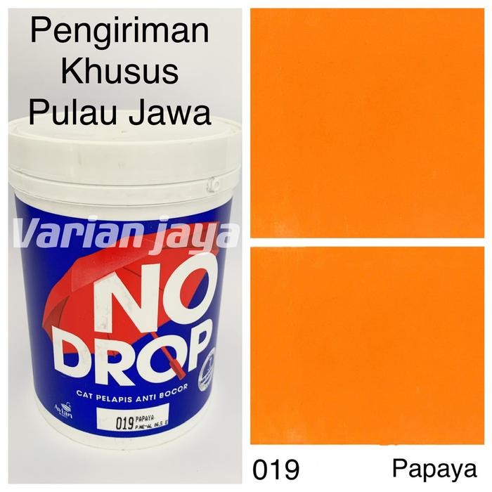 Cat Tembok No Drop Anti Bocor Waterproof 1kg Nodrop Papaya Orange