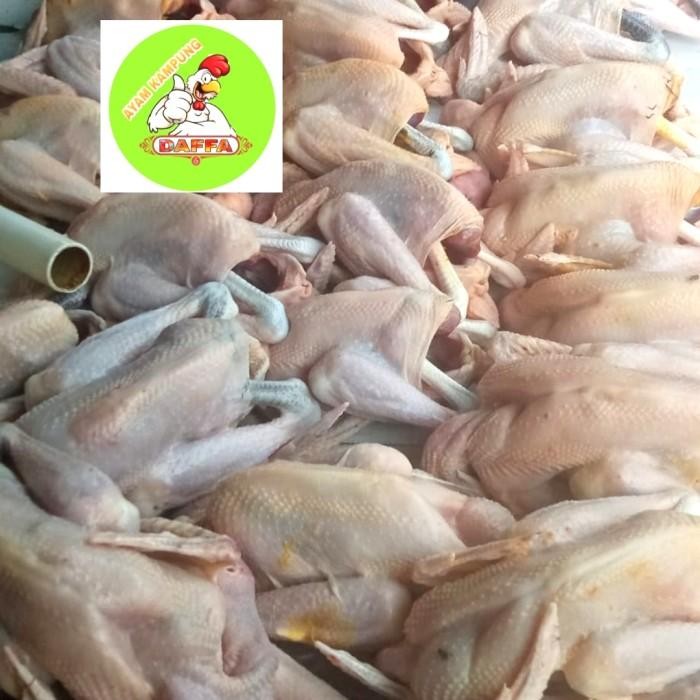 

(Allthebest) AYAM KAMPUNG MEDIUM 700-800gr