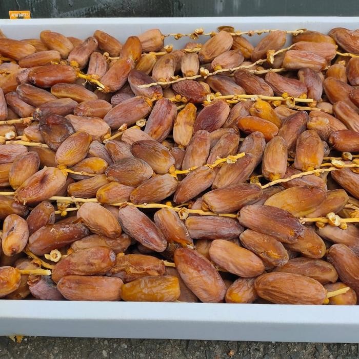 

DISKON kurma tunisia tangkai 1dus ( 5kg ) READY STOCK