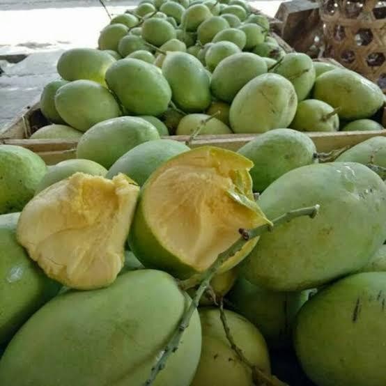 

TERMURAH Buah Mangga Mengkel Rujak - 1 Kg READY STOCK