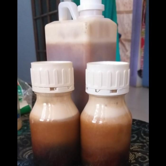 

MADU HUTAN SUMATRA 100% ,GAK ASLI GRATIS