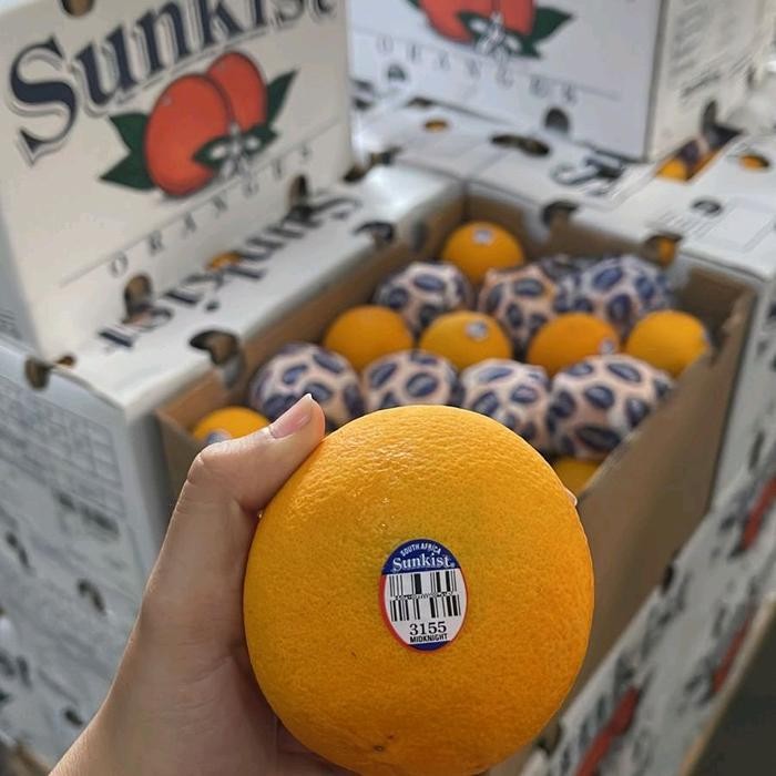 

ORIGINAL Jeruk Navel- Jeruk Sunkist- Jeruk Valencia- Jeruk Peras- Jeruk orange Import- Jeruk navel