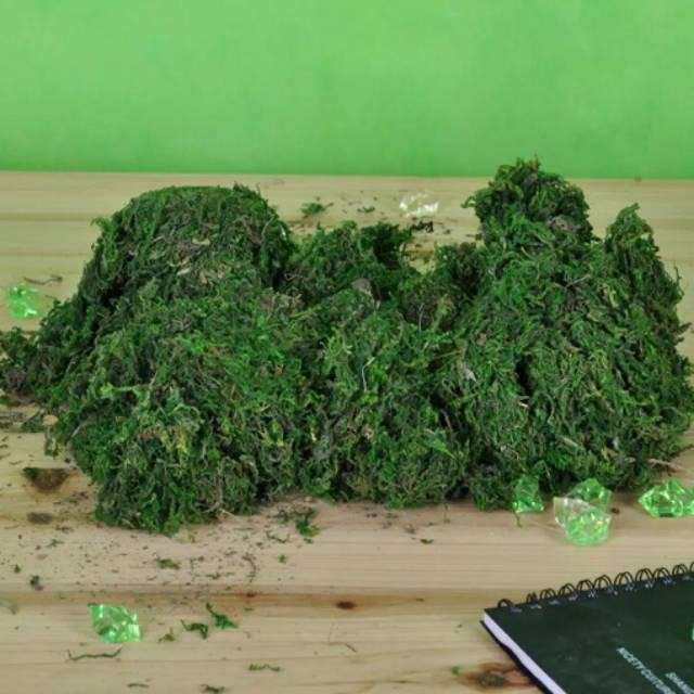 Lumut Hijau Premium Artificial 1 Kg Lumut Kering Rumput Halus Sintetis