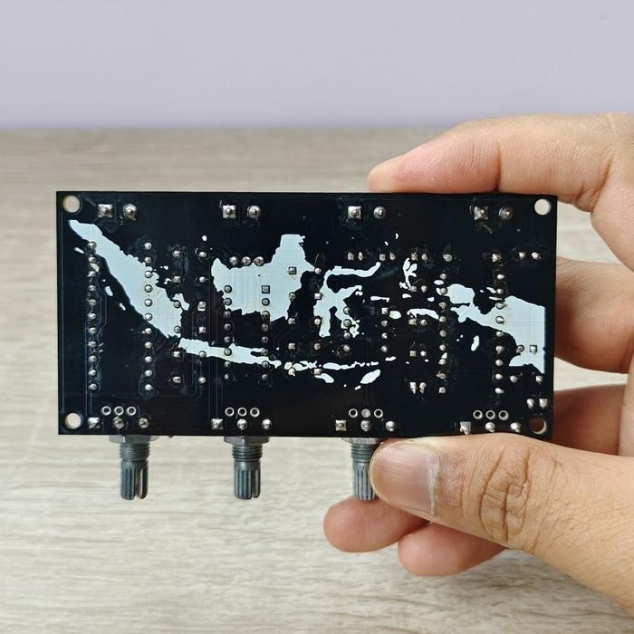 ECHO REVERB CESS MICROPHONE PRE-AMP MIC PT2399 EFEK VOCAL AMPLIFIER