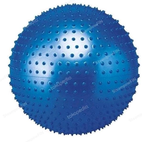 

Massage Gym Ball Pilates Yoga Ball 65cm Bola Fitness Gerigi