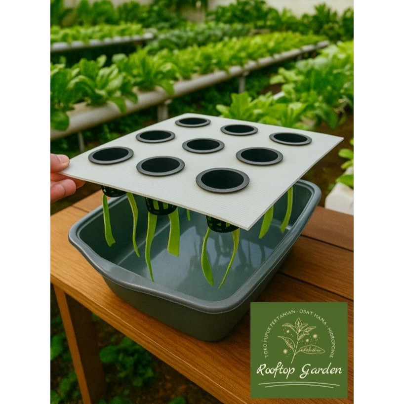 

Set Baki Bak Hidroponik Termasuk Netpot, Sumbu, Dan Tutup Impraboard 9 Lubang