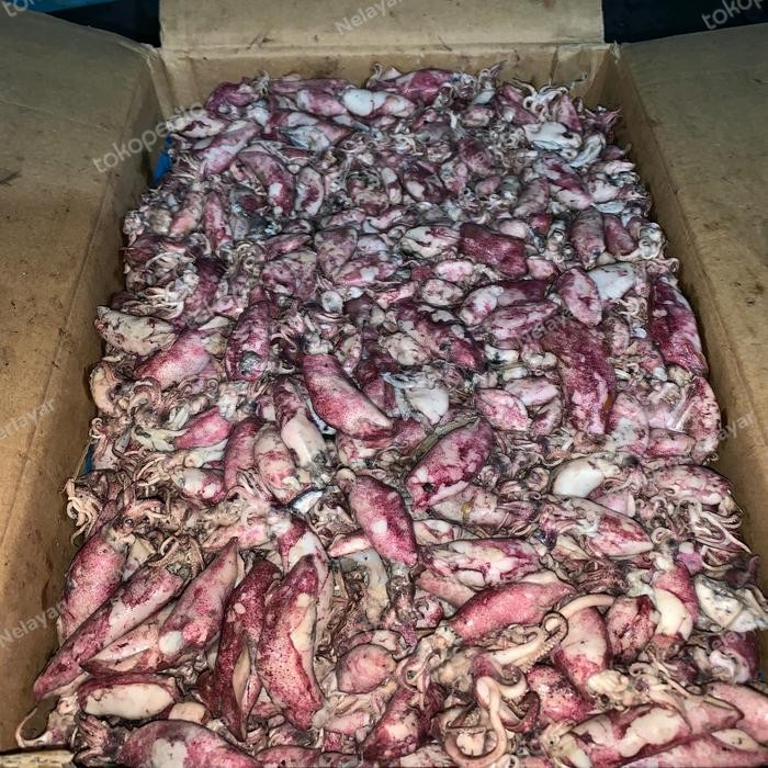 

Cumi Asin/Ikan Asin Cumi Asin/Baby Cumi Asin Rebus 500Gr - Nb Best Seller