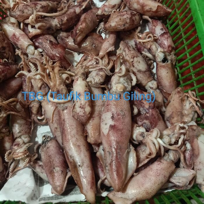 

Cumi Asin Besar 500Gr Terlaris