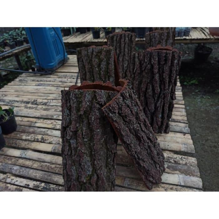 Media Tanam Anggrek Tempel Papan Kulit Kayu Pinus Jumbo rogpyu 6949nx