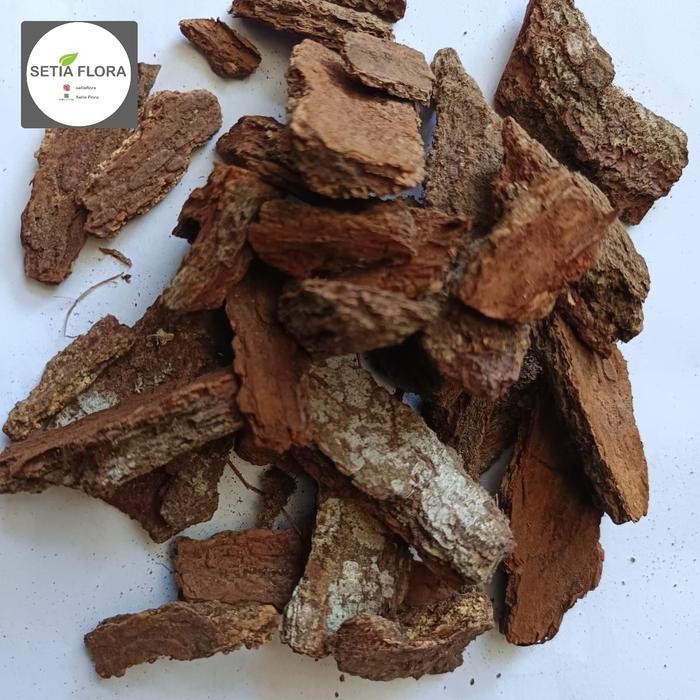 Kulit Pinus Pine Bark Media Tanam