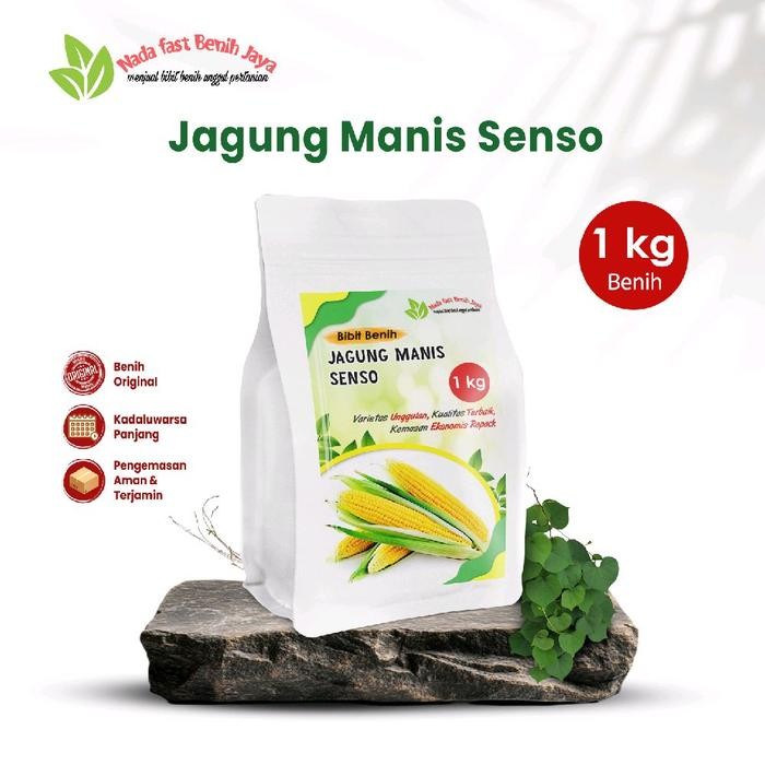 FLOWER 1 KG BENIH JAGUNG MANIS SENSO / BIBIT JAGUNG MANIS TANAMAN