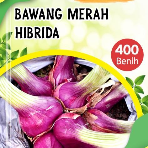BENIH BAWANG MERAH LOKANANTA ( 200 BIJI )