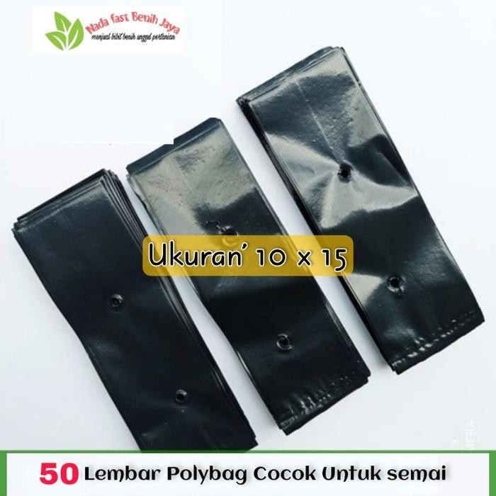 50 LEMBAR POLYBAG UNTUK SEMAI BENIH
