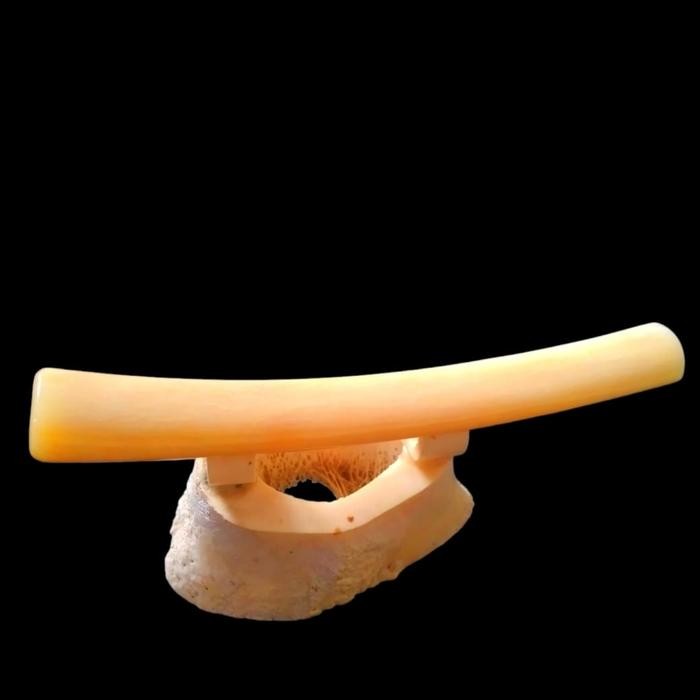 Promo Terlaris Pipa Once Tulang Iga Duyung / Once Duyung Panjang 12 cm Ready