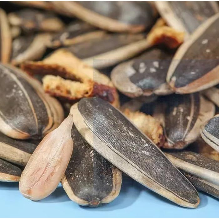 

New Kuaci rasa kulit Jeruk 108g Manis Ready