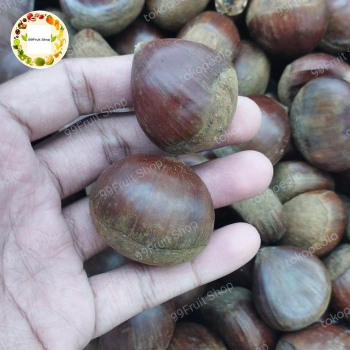 

New Chesnut korea mentah 1 kg Ready