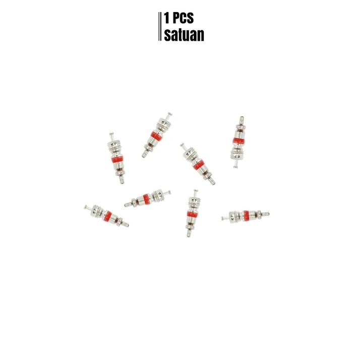 ISI PENTIL SPUYER BAN TUBELESS ISIAN PENTIL