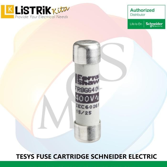 FUSE SCHNEIDER FUSE-DISCONNECTOR FUSE CARTRIDGE 10X39MM AM 2A