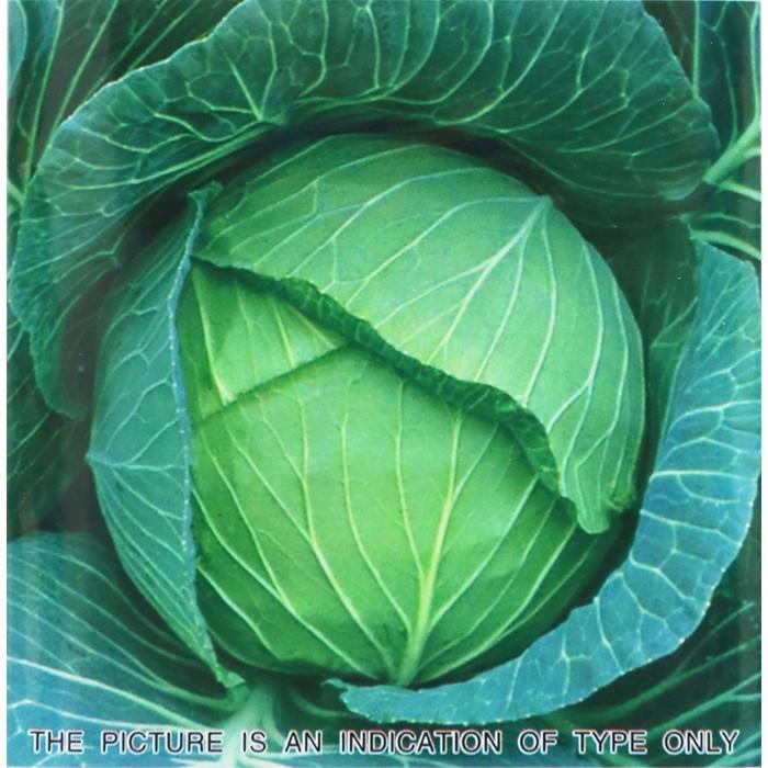 Benih Kubis Hibrida Green Coronet 20gram Taki Seed