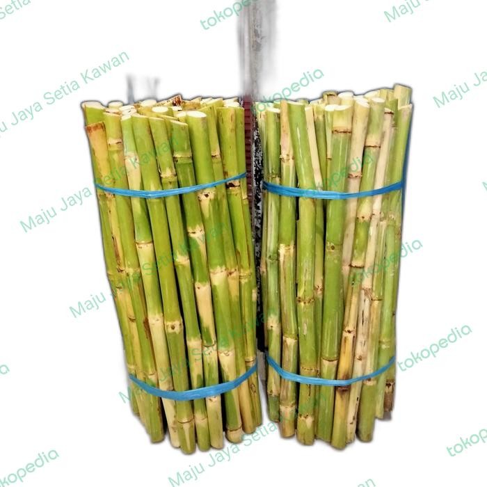 

Baru Tebu Batang Potong Per Ikat - Segar & Bersih