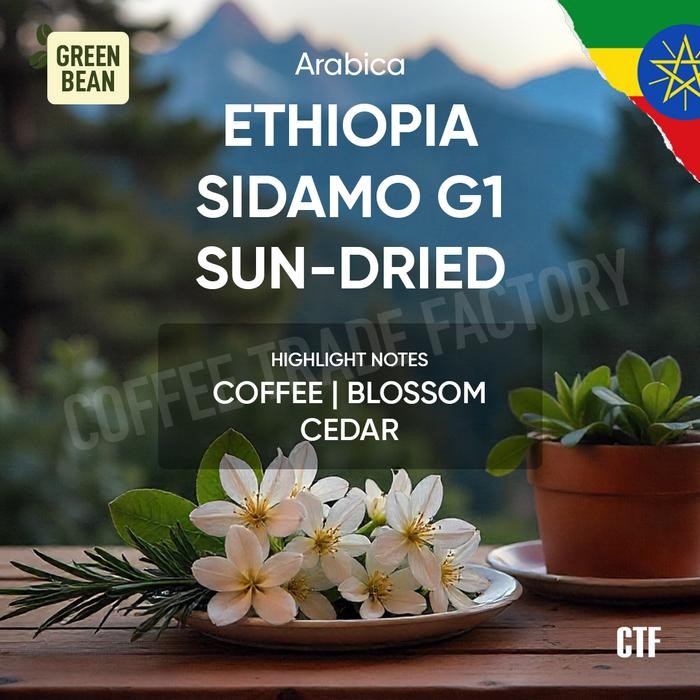 

Green Bean Ethiopia Sidamo G1 Sun dried Premium Kopi Spesialti berkelas