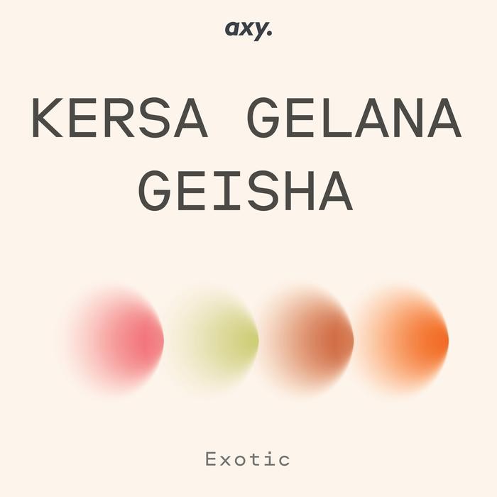 

GUJI KERSA GELANA GEISHA - BIJI KOPI ARABIKA
