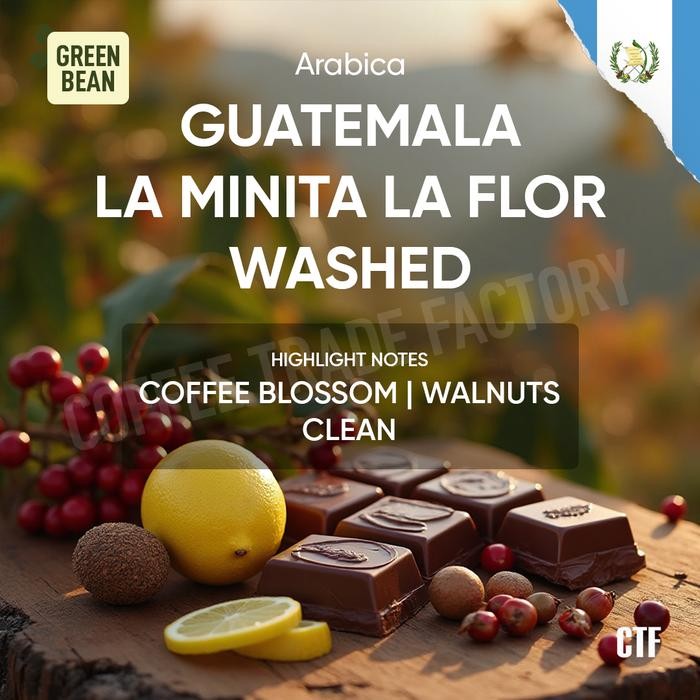 

Green Beans Arabika Guatemala La Minita La Flor / Coffee Trade Factory CTF / Green Bean Arabica