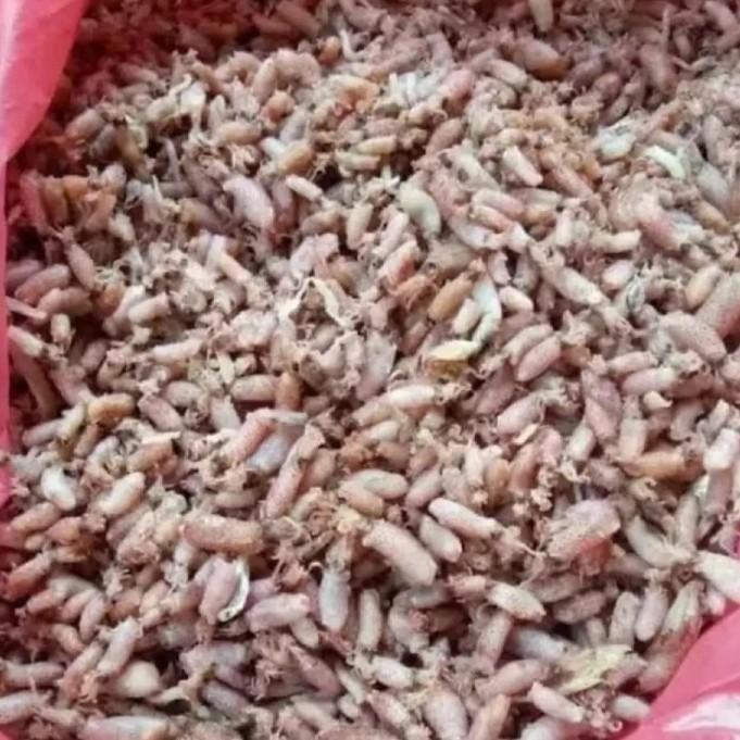 

(Allthebest) Cumi Asin 250 gram / Cumi Asin / Cumi asin Kering / Cumi Kering