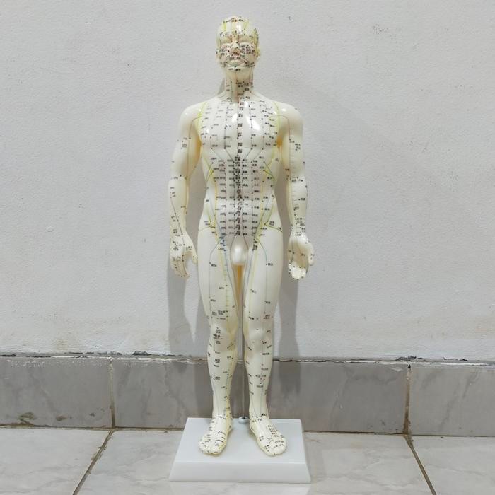 GGAF Patung Akupuntur Model Pria/ Boneka Titik Titik Akupuntur