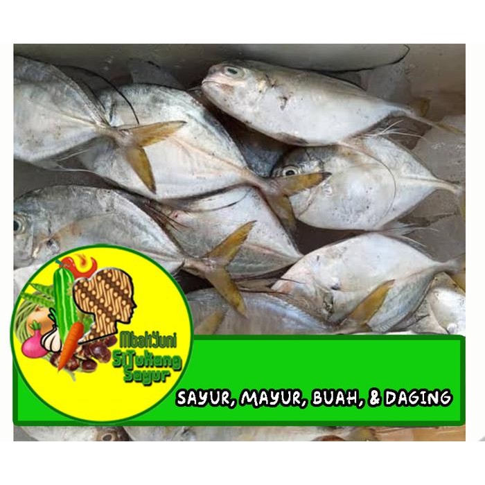 

ikan kuwe bumbu ungkep kuning 1kg frozen siap masak stok terbatas