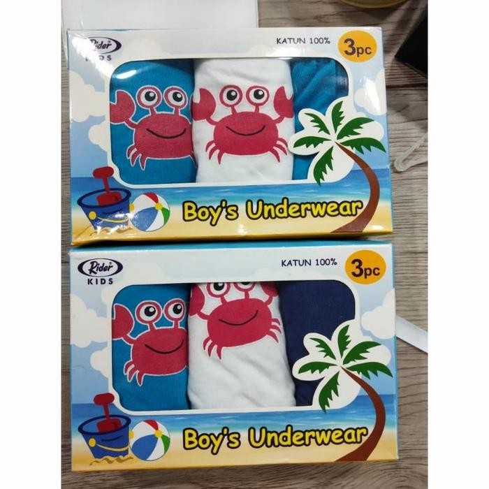 Celana Dalam Anak Laki-Laki Merek Rider Kids 309 Isi 3Pcs