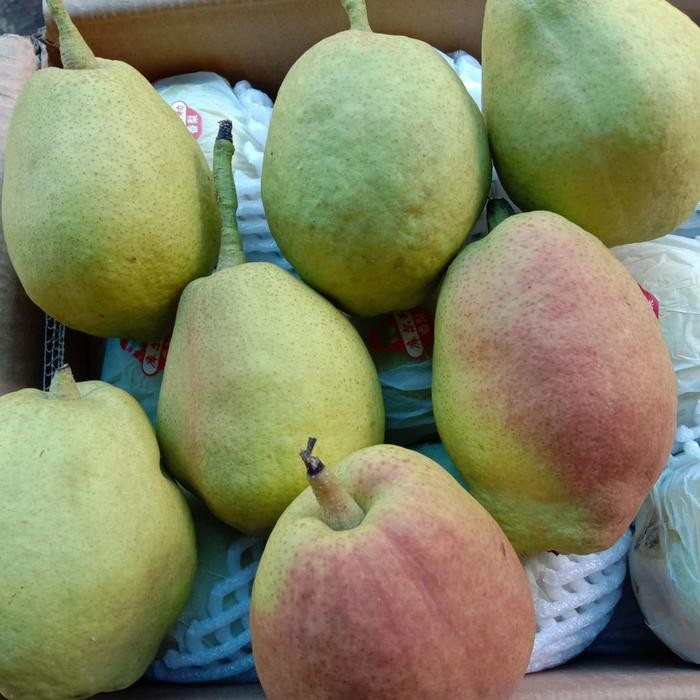 

NATURE- Pir Xianglie Pir Hijau. Manis Garing Enak Lembut. Murah