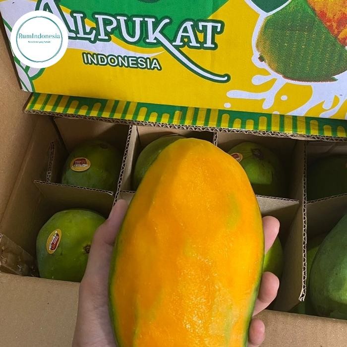 

NATURE- Mangga Alpukat 1 Dus 5Kg Matang Pohon Garansi Manis