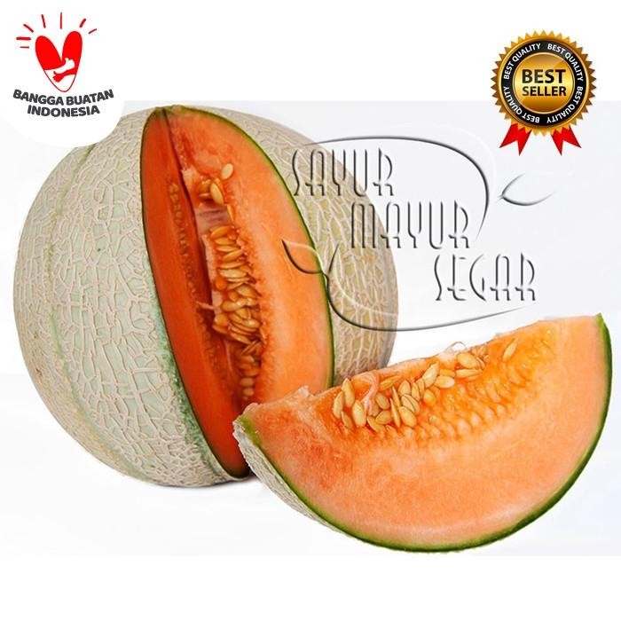 

NATURE- Melon Orange Segar Dan Manis