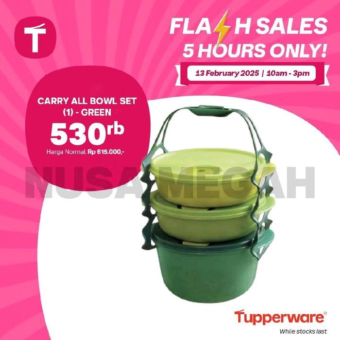 Tupperware Carry All Bowl Rantang Chenware