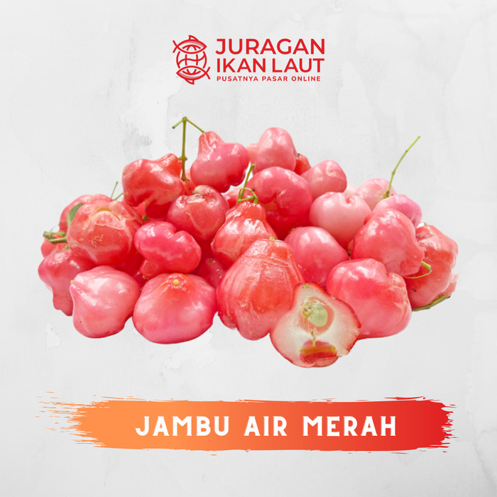 

NATURE- Buah Jambu Air Merah Segar Berkualitas - 1 Kilogram