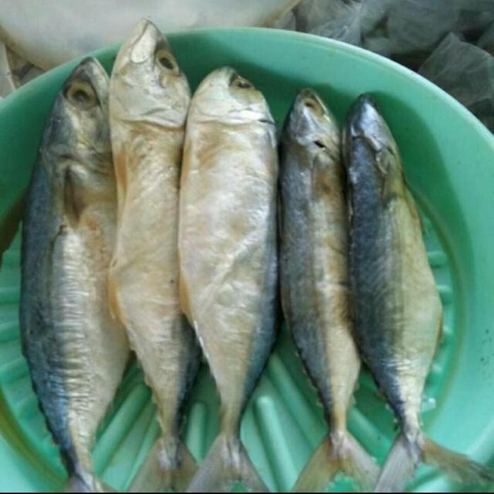 

Siap Kirim Peda Putih 1kg - Ikan Laut Asin Premium Shopee