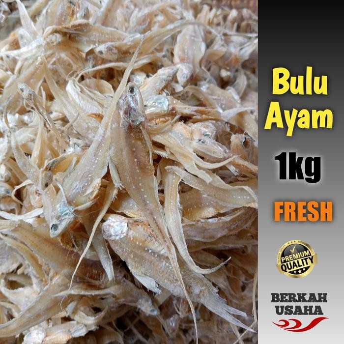 

Siap Kirim Ikan Asin Bulu Ayam 1kg - Gurih & Fresh Shopee