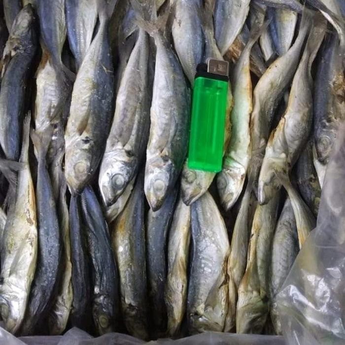 

Siap Kirim Ikan Asin Rebusan Layang Khas Medan - Gurih & Lezat Shopee
