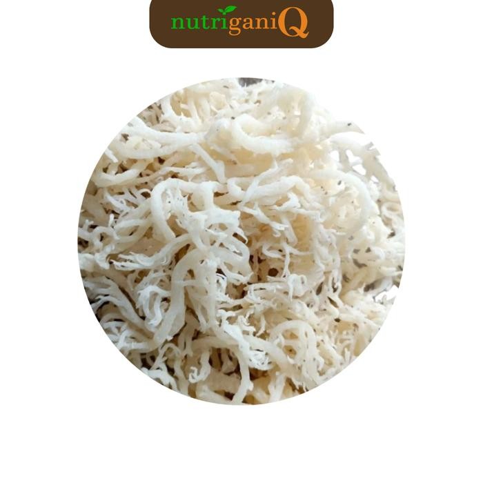 

TERLARIS NutriganiQ Rumput Laut Kering Spinosum Cottoni 1 Kilogram Rumput Laut Bahan Es Rumput Laut