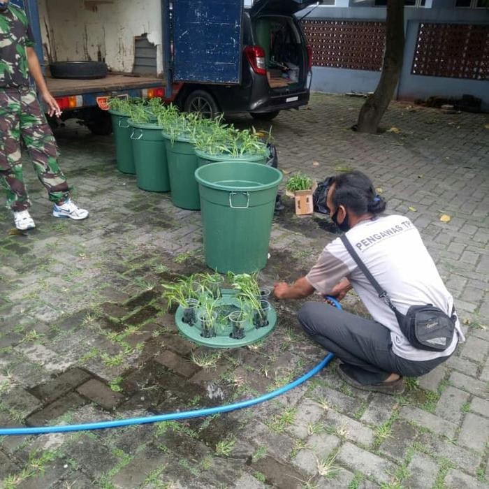 

Paket SUPER / Budikdamber / Budidaya Lele Sayuran Aquaponik Dlm Ember