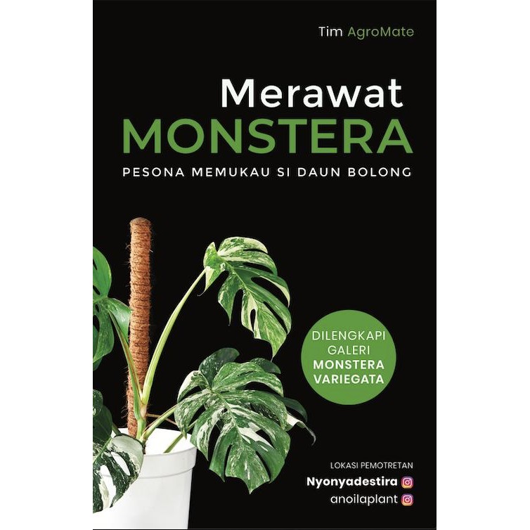 

Merawat Monstera - Tim AgroMate - Agromedia