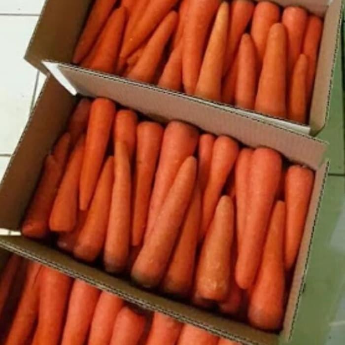 

LUXEHEALTH- Buah Sayur Wortel Import Brastagi Lokal Organik Australia /Box